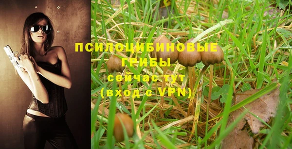 тгк Навашино
