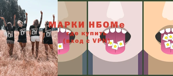 твердый Надым