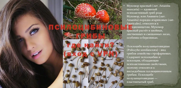 а пвп мука Михайлов