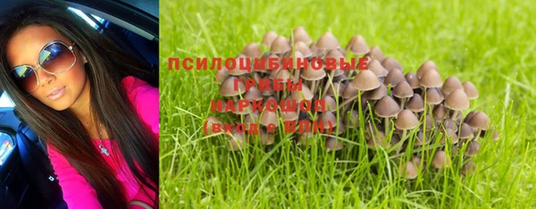 твердый Надым