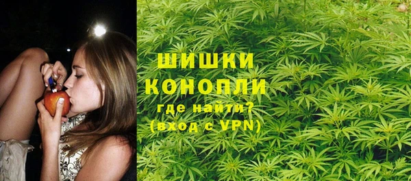 твердый Надым